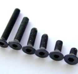 VITI SVASATE T.BRUGOLA     4x6 - JETVSE46