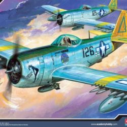 P-47N Expected Goose 1/48 P47N - ITAAC12281