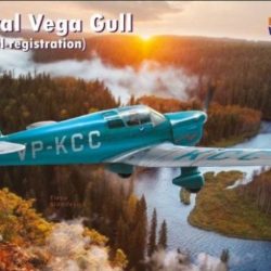 Dora Wings Percival Vega Gull  1/48 Civil registration - HERDW48015