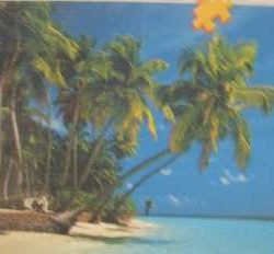 SPIAGGIA DELLE MALDIVE   500pz - RAV14115