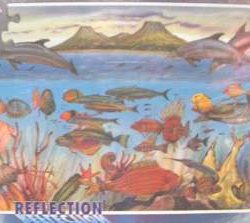 CARAIBI-REFLECTION       300pz - RAV13406