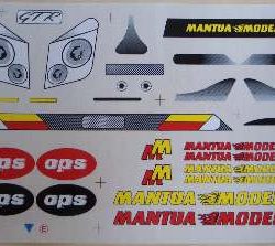 DECAL Mc Laren GTR F1 - M20052