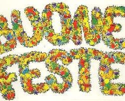 VESTROFANIA BUONE FESTE 35x50cm - YTAC13