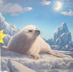 NOTTE STELLATA Luminesc.1000pz - RAV16068