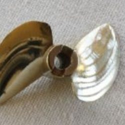 ELICA NAVALE IN BRONZO  30x1,4 BIPALA DRIVE DOG 3,18mm - TFL3014220