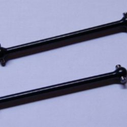 SEMIASSI POSTERIORI      CHEBI - DNEBS213-004