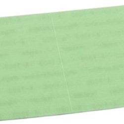 Panno Abrasivo #1000 - TAM87232