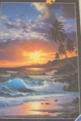 PARADISO TROPICALE       500pz - RAV14187