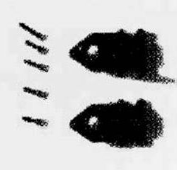 SCATOLA DI CODA PROCOPTER - SUPRC3625