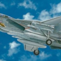F14A TOMCAT               1/48 - ITA2667