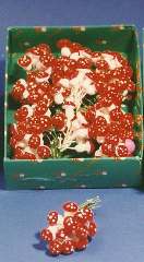 CONFEZIONE FUNGHI 15mm   144pz - YMO611964800