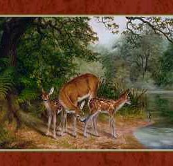 L'ABBEVERATA 70x50cm    1000pz - RAV15924