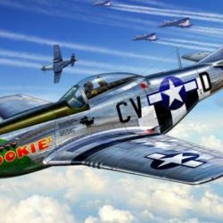 P51D MUSTANG              1/72 - REV4148