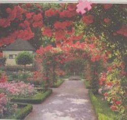 IL GIARDINO DELLE ROSE  1000pz - RAV15855