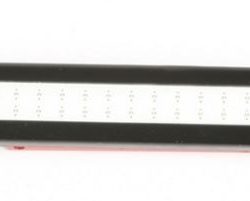 LED BLU POSTERIORI       TB250 FPV RACECOPTER OPTIONAL - RBT-ETB-BL1B