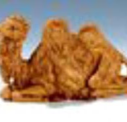 CAMMELLO SEDUTO n313 19 T/LEGN - FONTCAM19TL2