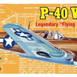 P40 WARHAWK          42cm 1/30 BALSA KIT PER VOLO LIBERO - RADGUI501