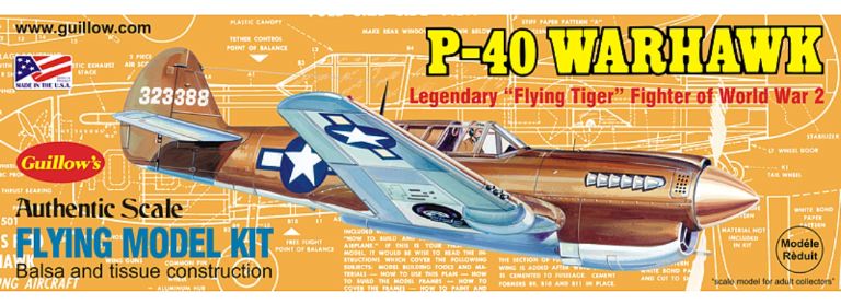 P40 WARHAWK 42cm 1/30 BALSA KIT PER VOLO LIBERO - RADGUI501