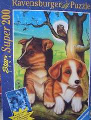 FEDELI COMPAGNI LUMIN.Super200 - RAV13912