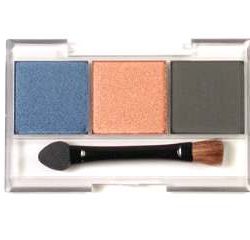 SET INVECCHIAMENTO  D burnt blue,burnt red,oil stain - TAM87088