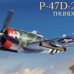 P-47D-25re Thunderbolt Basic Kit 1/48 P47D - ITAMA48009
