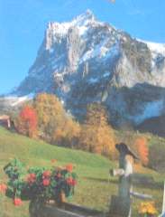 PAESAGGIO ALPINO         500pz - RAV14181