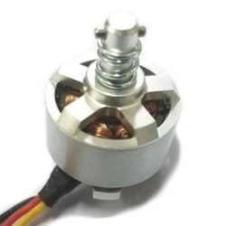 Motore brushless W1 1pz - SYM-W1-09