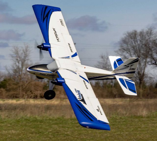 Twin Timber 1.6m PNP - HOREFL23875 - immagine 3