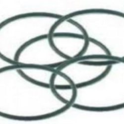 O-RING TAPPO CARTER 2,1cc - NOV14600