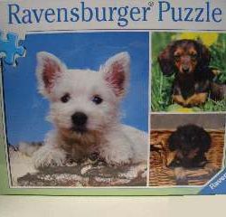 CAGNOLINI IN POSA       3x49pz - RAV09250