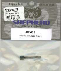 BARRA ANTERIORE FEMMINA    V10 - PICBR406601