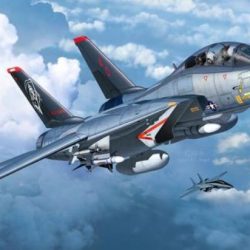 F14 D SUPER TOMCAT        1/72 - REV3960