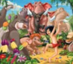 FESTA NELLA GIUNGLA      200pz - RAV12729