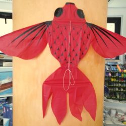 FLYING FISCH 48x58cm STAT+CAVI - DID16140