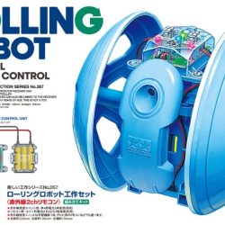 Educativo Rolling Robot con Telecomando IR a 2 Canali