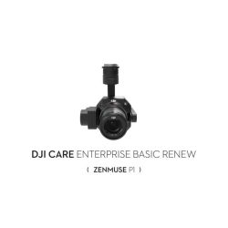 DJI Care Enterprise Basic Renew (Zenmuse P1)