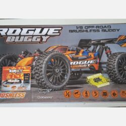 ROUGE Buggy 1/8 (usato)